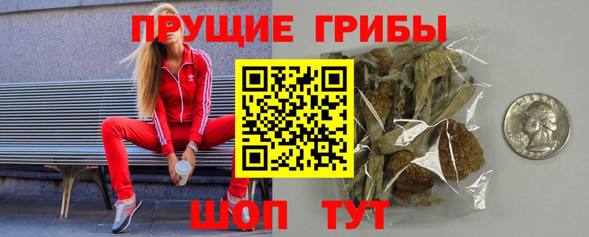 Псилоцибиновые грибы мицелий Сафоново